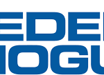 Logo Federal Mogul